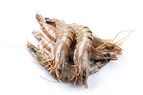 Wild Prawns | Head On | 4 LB (6-7 Count) | Chemical Free | Fresh Shrimp | Gourmet Seafood | All Fresh