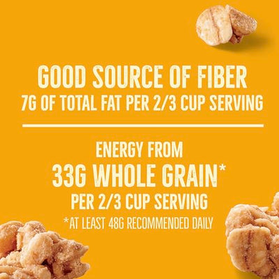 Nature Valley Protein Granola, Oats and Honey Granola, Resealable Snack Pouch, Family Size, 17 oz