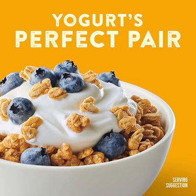 Nature Valley Protein Granola, Oats and Honey Granola, Resealable Snack Pouch, Family Size, 17 oz