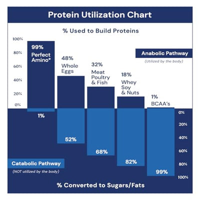 BodyHealth PerfectAmino Electrolytes Powder No Sugar, Keto Sugar Free Fasting Electrolytes Drink Mix, Hydration Powder with Trace Minerals - Mixed Berry - 60 Servings