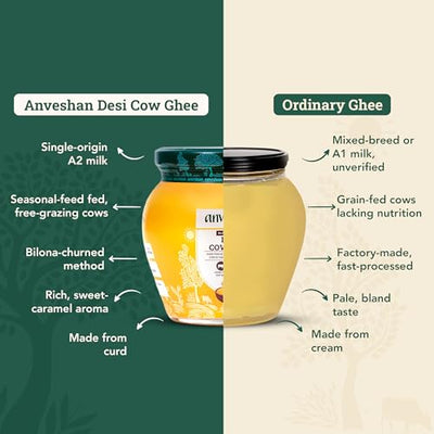 Anveshan Cow Ghee | Traditionally Bilona-Churned |Gut friendly |Keto friendly |High smoke point | Sustainably sourced | Casein free| Clarified Butter | 16.8 Fl. Oz (500mL)