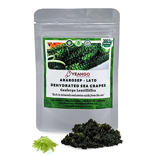 Yeahgoshopping Dried Sea Grapes, Fresh Organic Seaweed, Umibudo, Dehydrated Caulerpa Lentillifera to Eat with Salad, Sushi, Meat and Fish - 100% Natural Green (100gram/ 3.52 Oz)