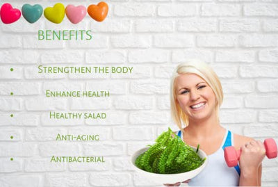 Yeahgoshopping Dried Sea Grapes, Fresh Organic Seaweed, Umibudo, Dehydrated Caulerpa Lentillifera to Eat with Salad, Sushi, Meat and Fish - 100% Natural Green (100gram/ 3.52 Oz)