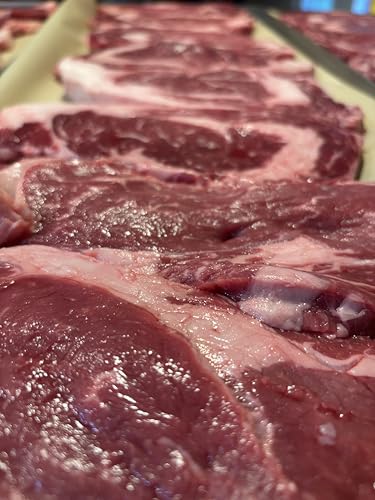 FREEZE MEAT Freeze-Dried Ribeye Steaks- Family Pack, 8.75 ounces, 10-Year Shelf Life, No Refrigeration Needed | Perfect for Backpacking, Camping, Emergencies, and Food Storage | Grass-Fed - Preserving Your Future