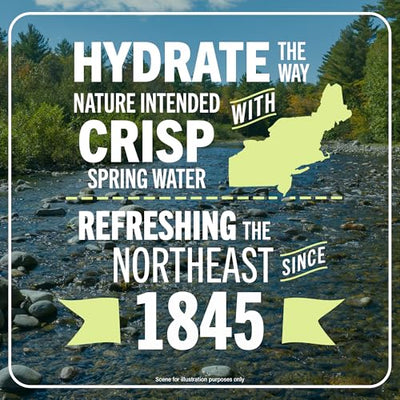 Poland Spring Maine Spring Water Bottles, 3L Jug – Still Bottled Water with Naturally Occurring Minerals for Taste