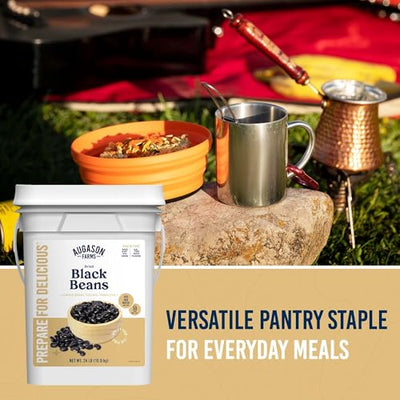 Dried Black Beans Emergency Food Supply, 237 Servings, 30 Year Shelf Life, Good Source of Iron, Protein, and Potassium, High in Fiber - Dehydrated Meals, Survival Food Camping Essentials, 4 Gallon Bucket