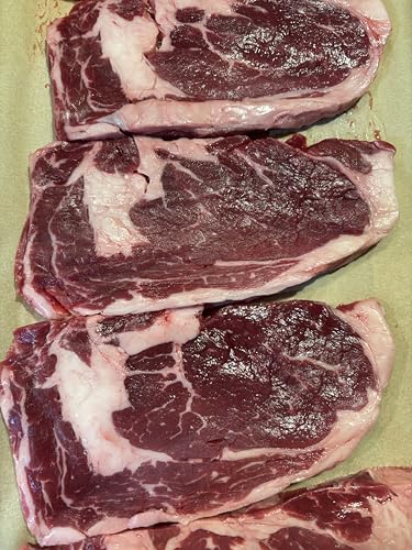 FREEZE MEAT Freeze-Dried Ribeye Steaks- Family Pack, 8.75 ounces, 10-Year Shelf Life, No Refrigeration Needed | Perfect for Backpacking, Camping, Emergencies, and Food Storage | Grass-Fed - Preserving Your Future