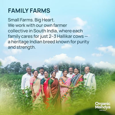 Grass Fed A2 Ghee 23 oz (700 ml) – Bilona Desi Cow Clarified Butter | Lactose Free, Pasture Raised by Organic Mandya