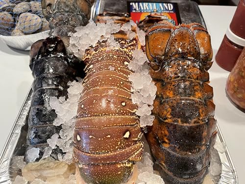 (4) Pack of 9 oz. Warm Water Lobster Tails (Caribbean, Brazil, Columbia, Honduras, Mexico) Flash Frozen