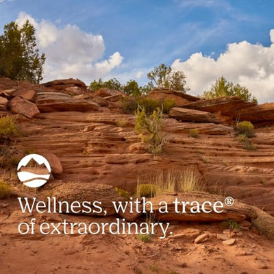 Trace Minerals | Stress-X Magnesium Powder | Stress Relief, Regularity, Relax, Sleep, Energy, Relaxes Muscles, Cell Function | Non-GMO, Gluten Free, and Certified Vegan | Raspberry Lemon Flavor|8.5 oz