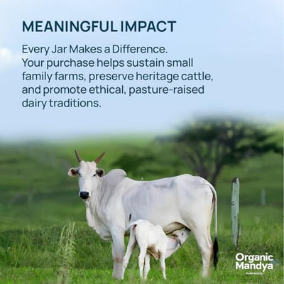 A2 Desi Grass-Fed Ghee Clarified Butter, Pasture Raised, Lactose Free, Stress-Free Cattle (9.3 oz / 275 ml) by Organic Mandya