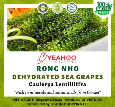 Yeahgoshopping Dried Sea Grapes, Fresh Organic Seaweed, Umibudo, Dehydrated Caulerpa Lentillifera to Eat with Salad, Sushi, Meat and Fish - 100% Natural Green (100gram/ 3.52 Oz)