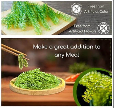 Yeahgoshopping Dried Sea Grapes, Fresh Organic Seaweed, Umibudo, Dehydrated Caulerpa Lentillifera to Eat with Salad, Sushi, Meat and Fish - 100% Natural Green (100gram/ 3.52 Oz)