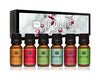 Holiday Set of 6 Premium Grade Fragrance Oils - Mistletoe, Candy Cane, Wintermint, Apple Cider, Cranberry, and Forest Pine - 10ml