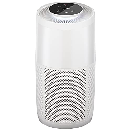 Instant Air Purifier, Helps remove 99.9% of viruses (COVID-19), bacteria, allergens, smoke; advanced 3-in-1 HEPA-13 filtration with plasma ion technology, Large Room (AP300), Pearl