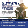 Ionic Lytes Electrolyte Concentrate (96 Servings) | Sugar Free, Keto Electrolyte Drops, Perfectly Purified Ionic Electrolytes for Rapid Hydration | 30% More Potassium, Magnesium & Zinc (8 oz)