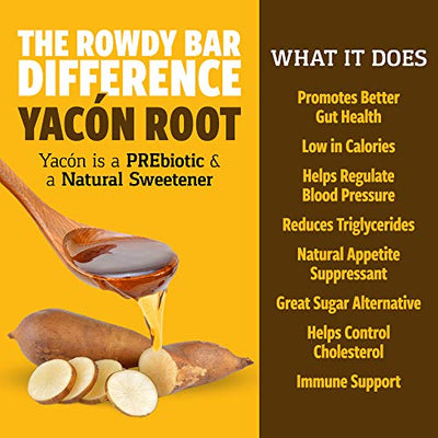 ROWDY BAR Keto Chocolaty Cookie Dough Protein Bar | Collagen & Egg White Protein | Yacon Root | Keto & Paleo Friendly | Gluten Free, Non GMO, Low Glycemic | 12 Bars per Box