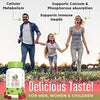 Vegan Vitamin D3+B12 Gummy (Sugar Free) by MaryRuth's | 2 Month Supply | Made w/Organic Ingredients Non-GMO Vegan Gluten Free for Men, Women & Kids 1000 IU Vitamin D3 & 250 mcg Vitamin B12 (Raspberry)