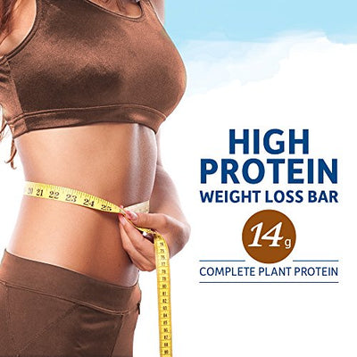 High Protein Bars for Weight Loss - Garden of Life Organic Fit Bar - Peanut Butter Chocolate (12 per carton) - Burn Fat, Satisfy Hunger and Fight Cravings, Low Sugar Plant Protein Bar with Fiber