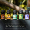 Lagunamoon Premium Essential Oils Set, 20 Pcs Pure Natural Aromatherapy Oils Lavender Frankincense Peppermint Rose Rosemary Sandalwood