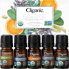 Cliganic Organic Aromatherapy Essential Oils Holiday Gift Set (Top 5), Stocking Stuffer - 100% Pure Natural - Peppermint, Lavender, Eucalyptus, Lemongrass & Orange