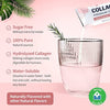 Multi Collagen Peptides Powder - Type I, II, III, V, X - Enhanced Absorption, Hydrolyzed Collagen Peptides with Prebiotics, Sugar-Free, Skin Hair Nail & Joint Support, Non-GMO