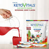 Keto Vitals Berry Antioxidant Electrolyte Powder Stick Packs | Keto Friendly Electrolytes Travel Packets | Variety Individual Packets | Energy Drink Mix | Zero Calorie | Zero Carb (Berry Assorted, 30)