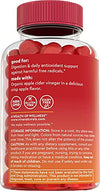 Viva Naturals- Organic Apple Cider Vinegar Gummies | 60 ACV Great Tasting Gummies with The Mother | Supports Healthy Digestion + Provides Antioxidant Support