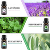 Essential Oils Set (Top 6) Essential Oils for Diffusers for Home, 100% Pure Natural,Aromatherapy Oils for Sleep,Essential Oils for Skin, Diffuser Oils 6x10ml, Lavender, Eucalyptus, Peppermint, etc.