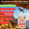 Premium Apple Cider Vinegar Capsules Max 1740mg with Mother - 100% Natural & Raw with Cinnamon, Ginger & Cayenne Pepper - Ideal for Healthy Blood Sugar, Detox & Digestion-120 Vegan Pills